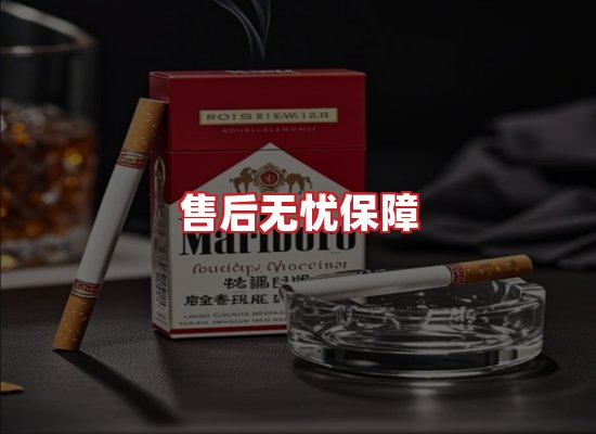 专业团队